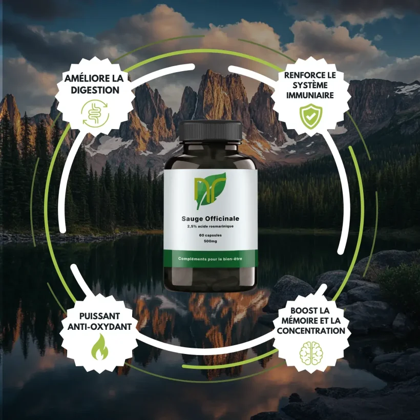 Sauge Officinale – Image 3