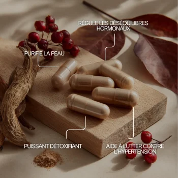 Salsepareille pour purifier la peau, aider à lutter contre l'hypertension et préserver le bien être