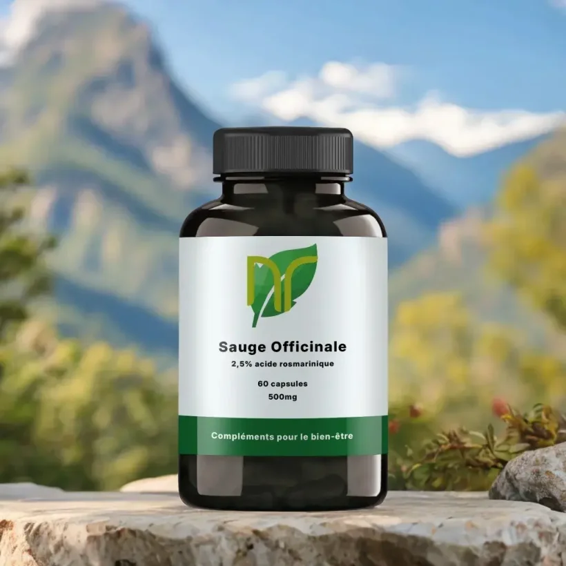 Sauge Officinale – Image 2