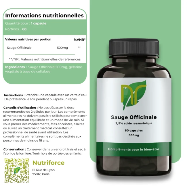 Sauge Officinale – Image 4