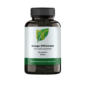 Sauge Officinale