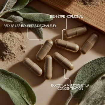 Sauge officinale pour réduire les bouffées de chaleur, booster la mémoire et pour le bien-être hormonal