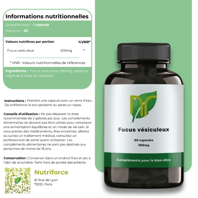 Fucus Vesiculosus – Image 4