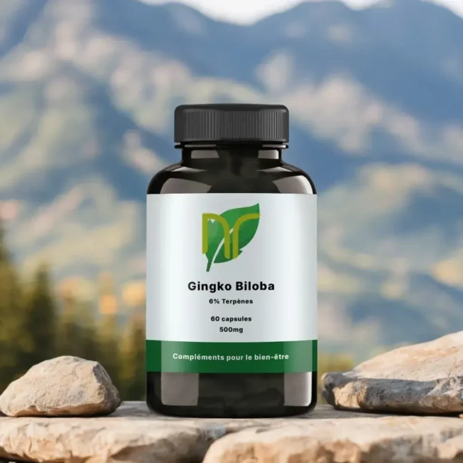 Ginkgo biloba – Image 2