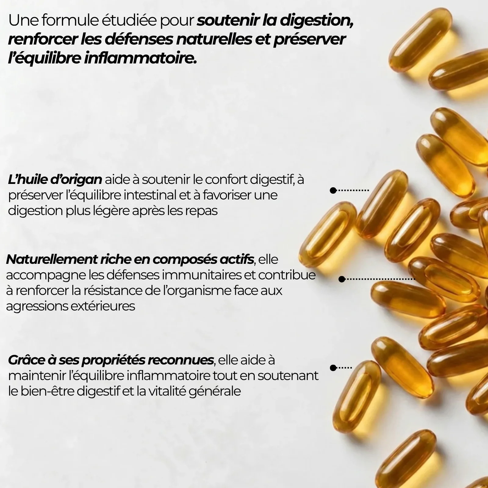 Capsules molles dorées d'huile d'origan Nutriforce, 500 mg d'huile d'Origanum vulgare par capsule, titrées à 80 % de carvacrol
