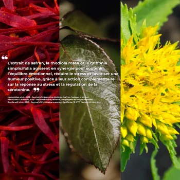 Étude clinique réalisée par Nutriforce sur les compléments alimentaires pour la sérotonine et le bien-être