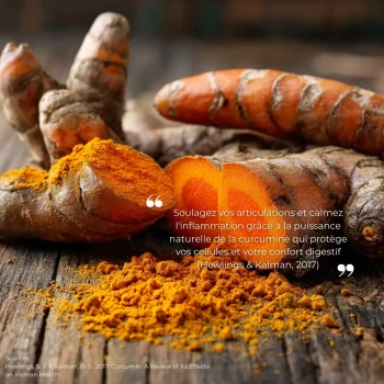 Graphique de données scientifiques démontrant l'efficacité de la curcumine sur l'inflammation.