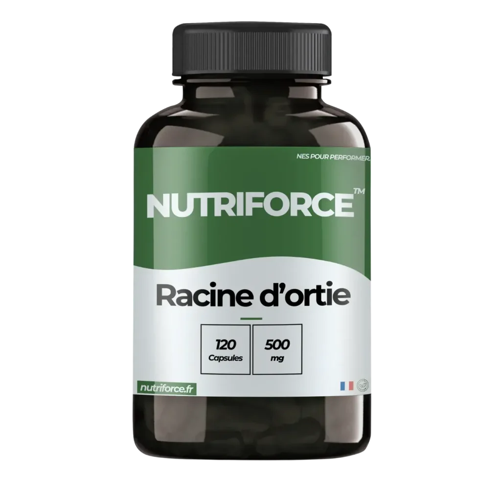 Racine d'orties