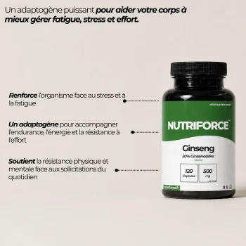 bienfaits du panax ginseng nutriforce