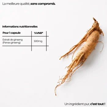 composition panax ginseng pur nutriforce france