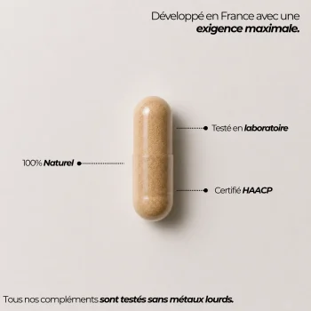 Complément alimentaire en gélules de panax ginseng