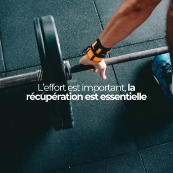 glutamine pour la musculation