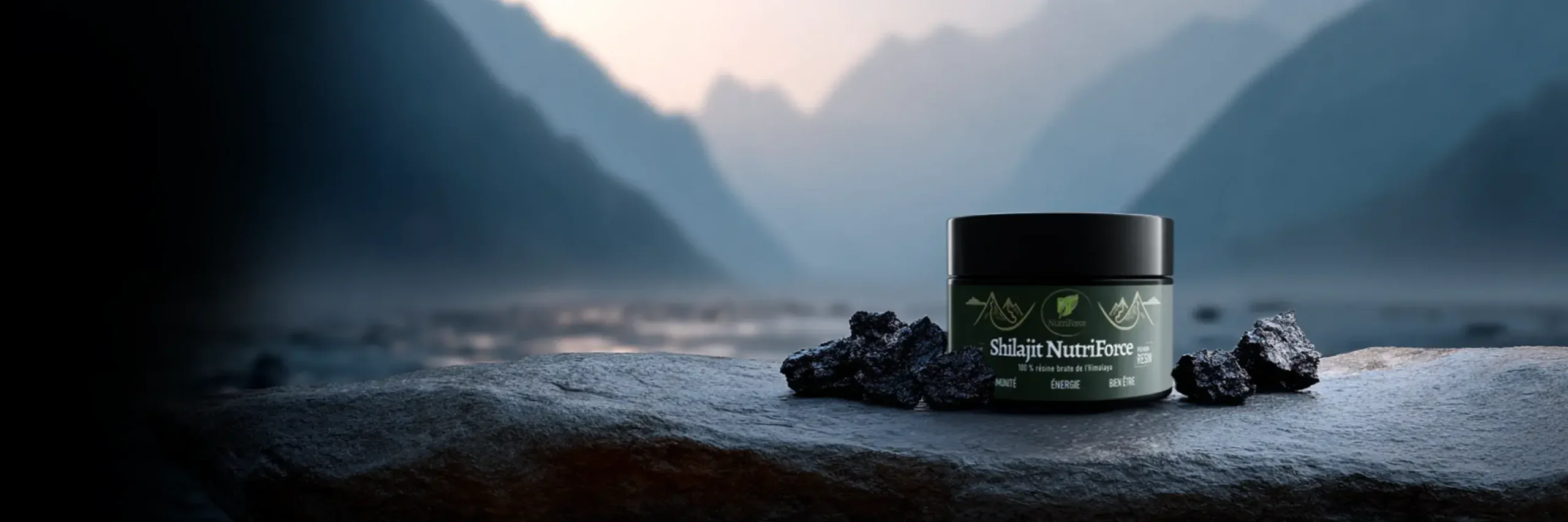 Shilajit Pur Nutriforce