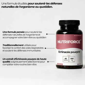 échinacée pourpre arguments