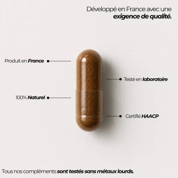 échinacée pourpre gélule macro