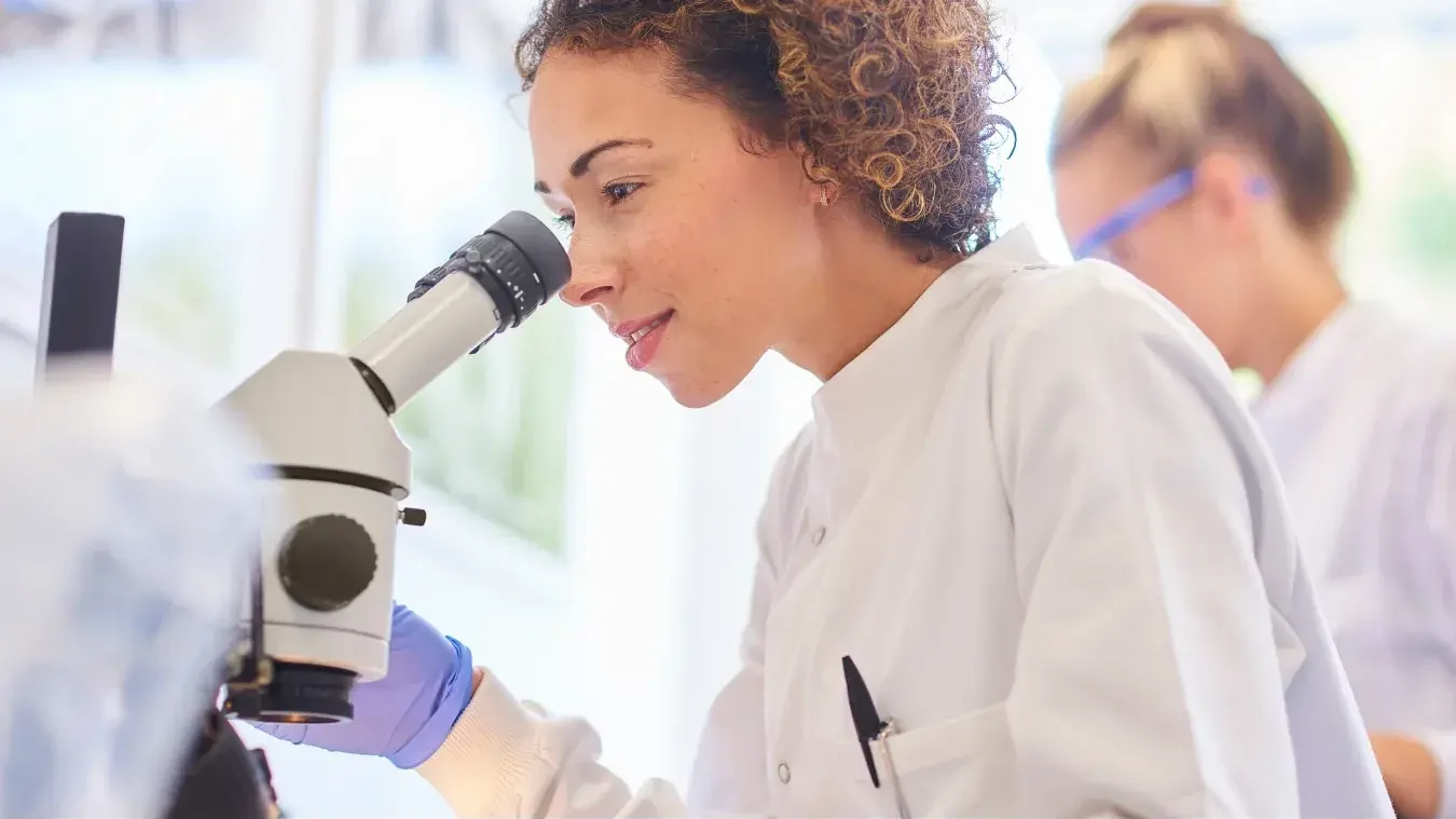 échinacée pourpre étude scientifique