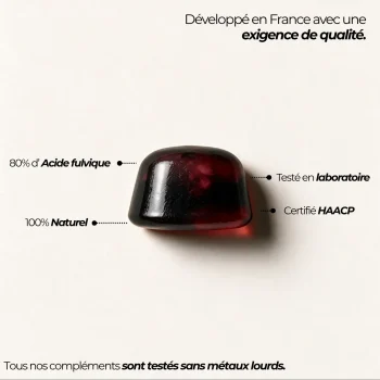 composition shilajit gummies