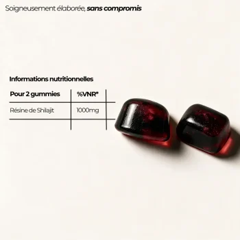 valeurs nutritionnelles shilajit gummies