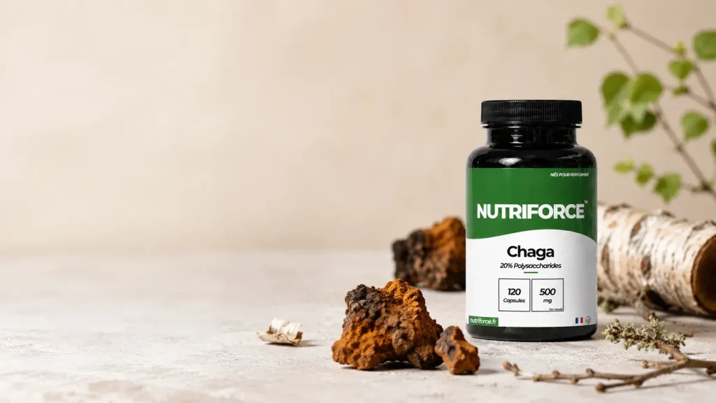chaga en gélules 