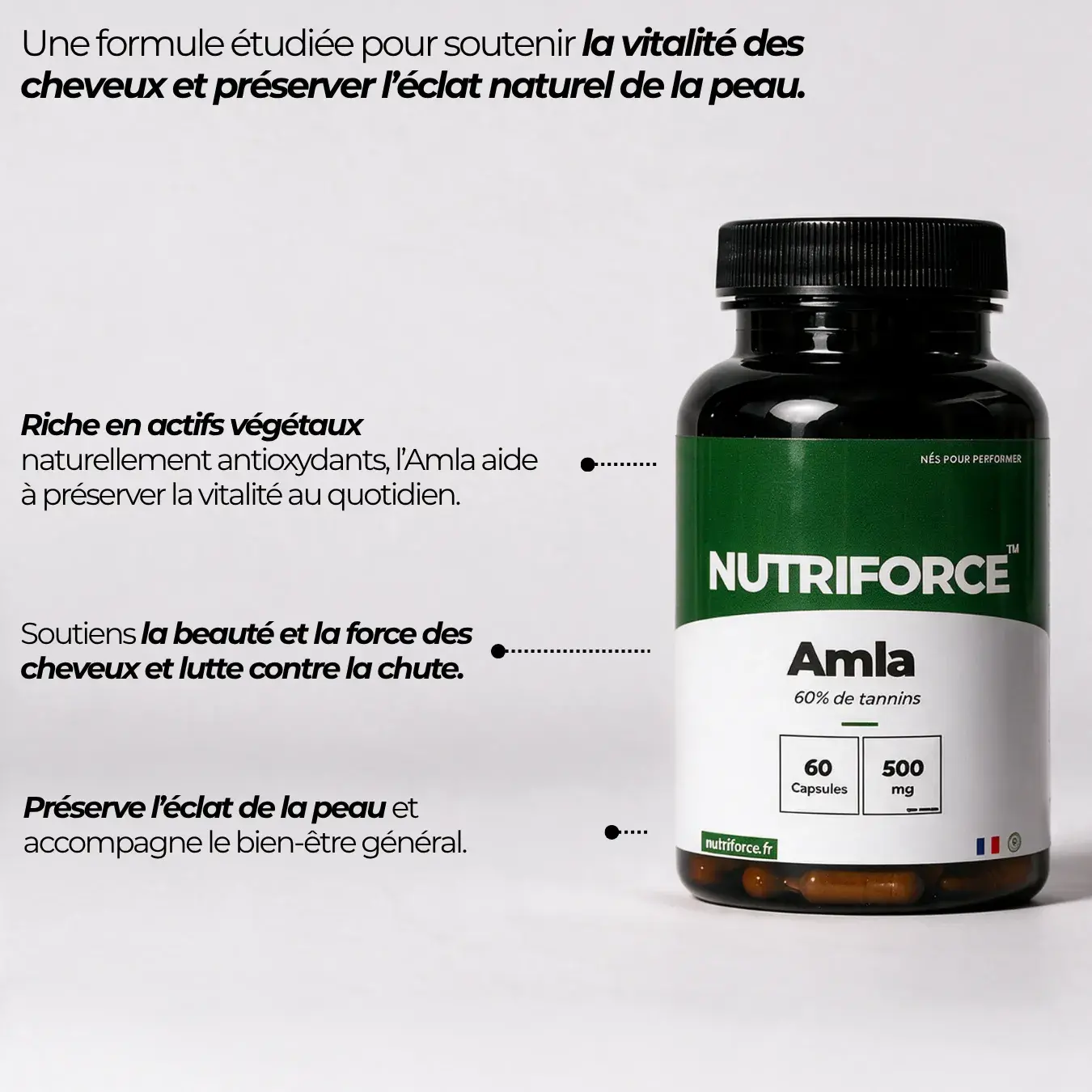 Amla – Image 3
